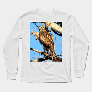 Red Tailed Hawk in Tree Long Sleeve T-Shirt